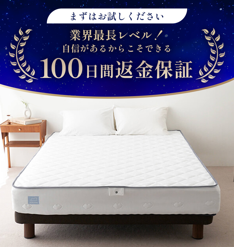 100日間返金保証